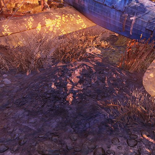 Курган в Fallout 76