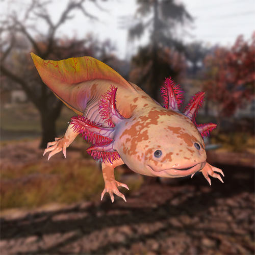 Как поймать Пёстрого (ноябрьского) аксолотля в Fallout 76