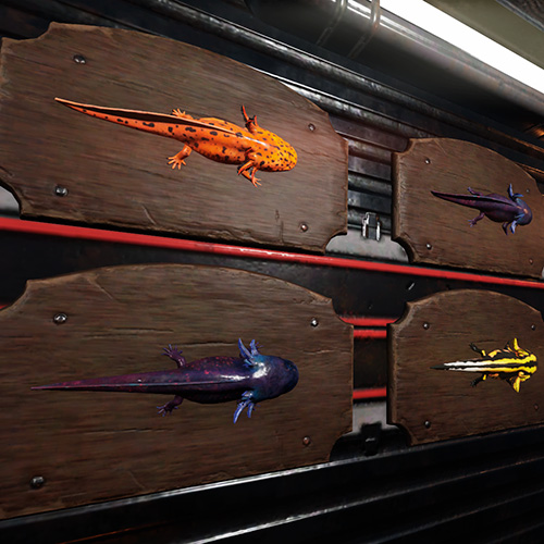 Другие виды аксолотлей в Fallout 76